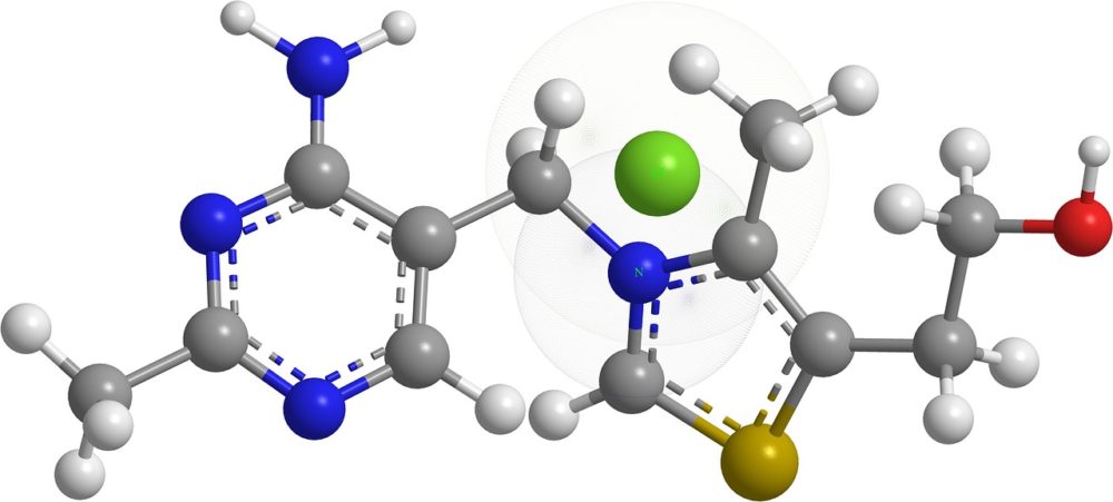 分子の結合